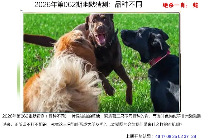 062期幽默猜测[图]