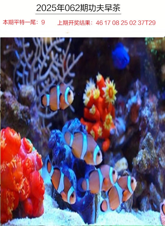 062期功夫早茶[图]