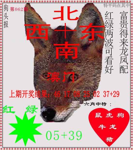 062期狗头报[图]