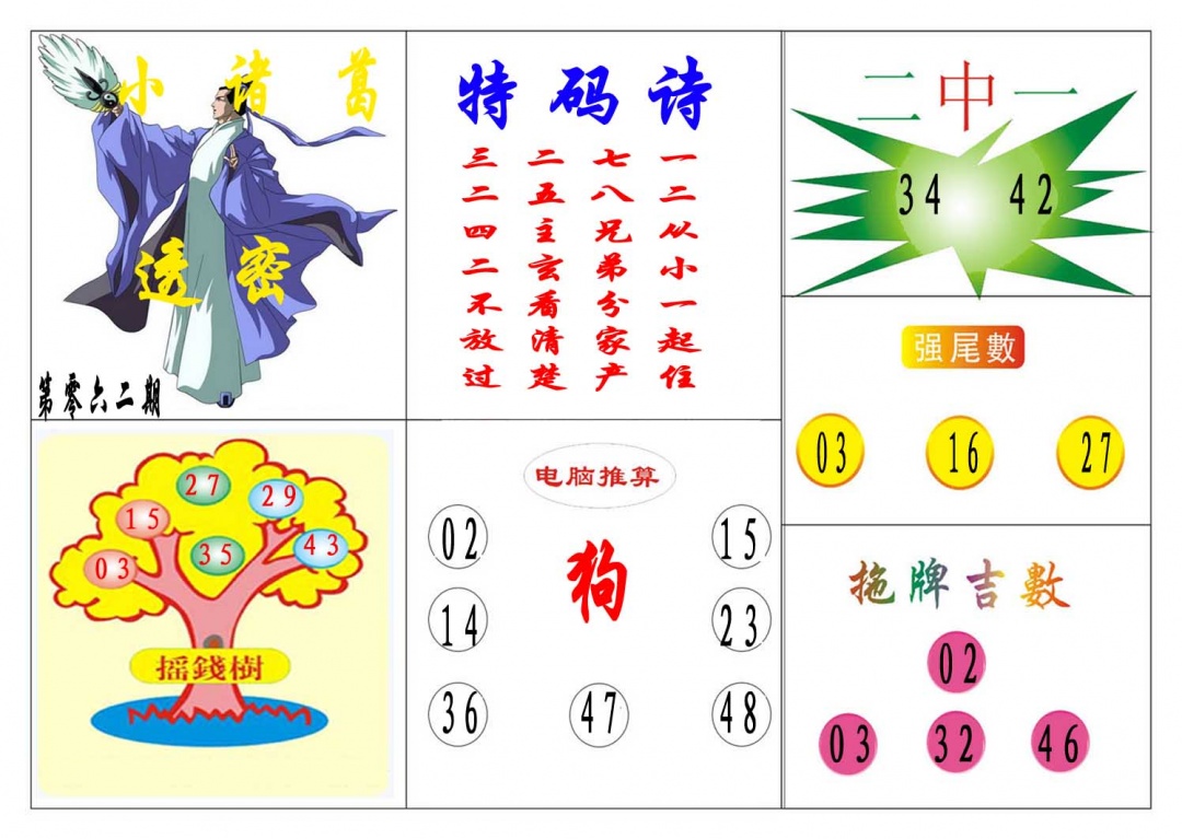 062期小诸葛[图]