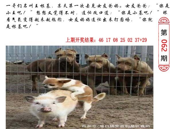 062期澳门生活幽默[图]