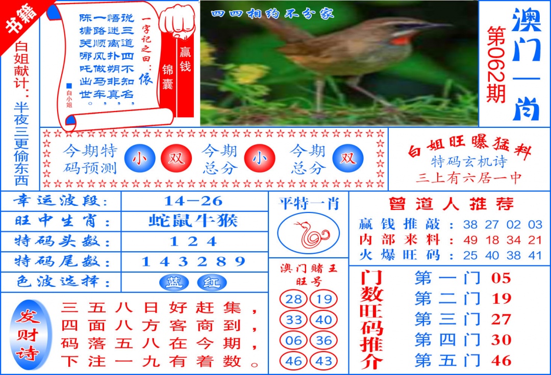 062期澳门东北虎[图]