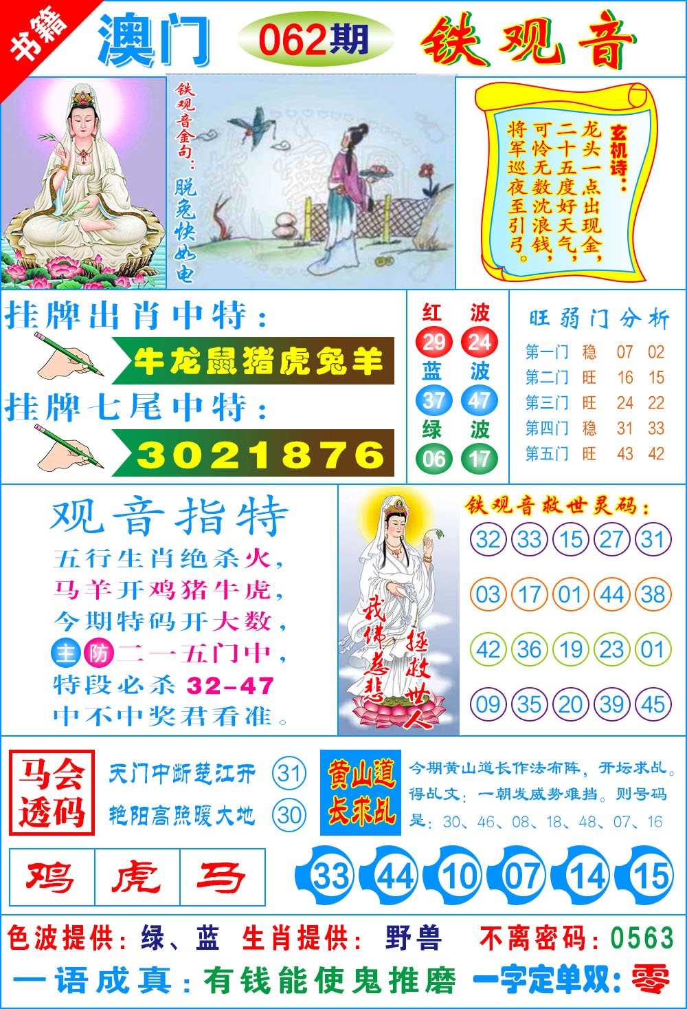 062期澳门铁观音[图]