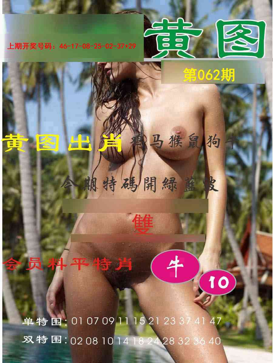 062期黄图[图]
