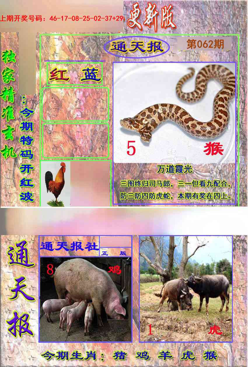 062期新通报[图]