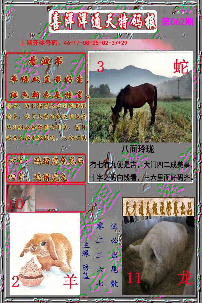 062期洋通报[图]