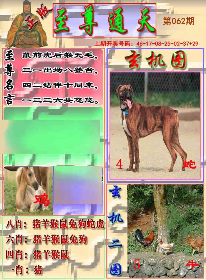 062期至通报[图]