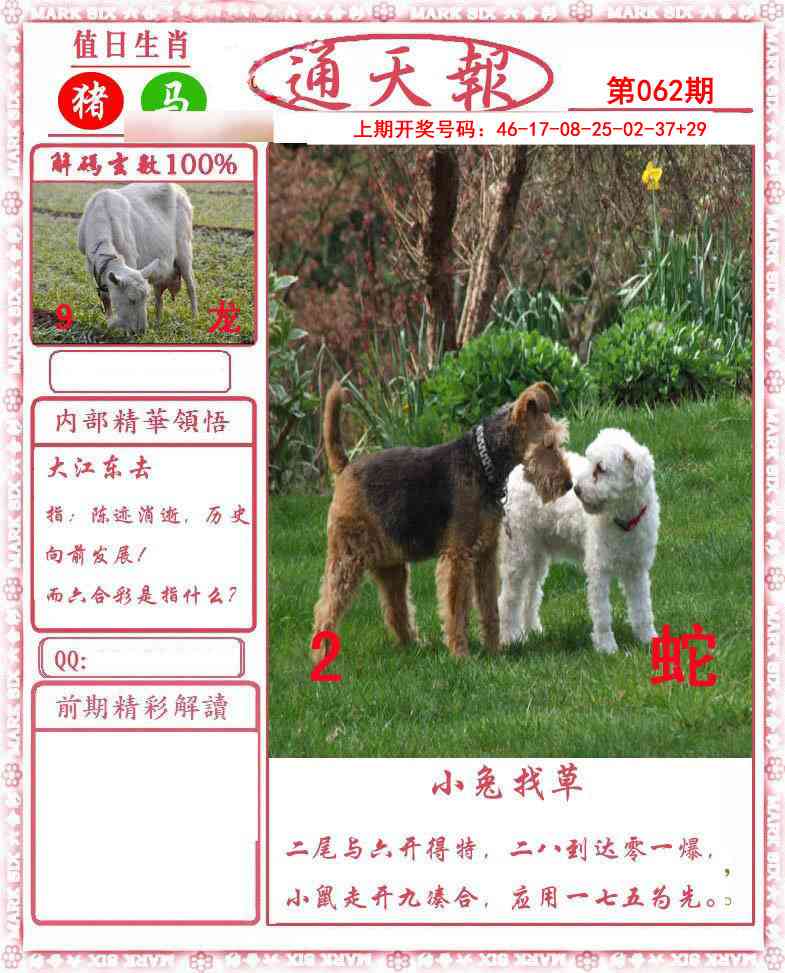 062期正版通天报[图]