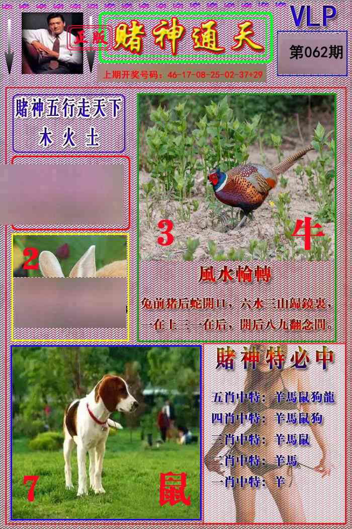 062期赌神通天报[图]