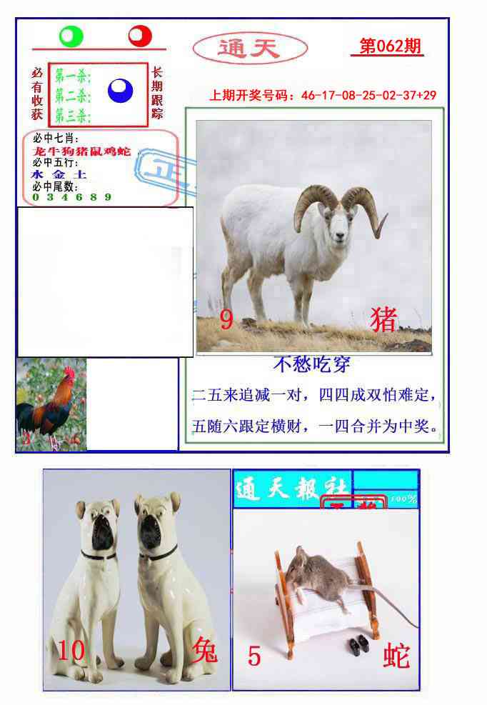 062期通天杀波图2[图]