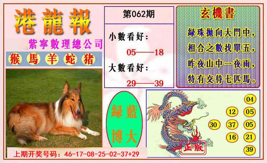 062期港龙报[图]