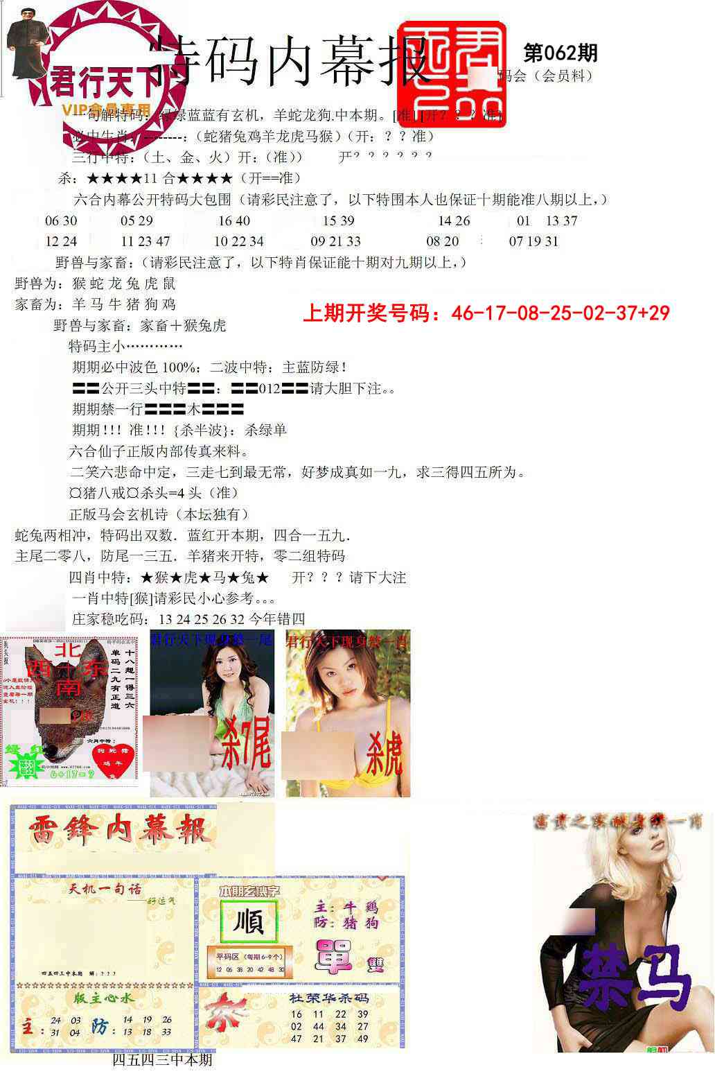 062期特码内幕报[图]