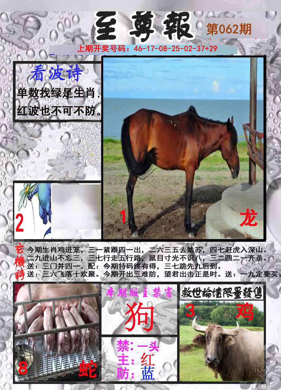 062期至尊报[图]