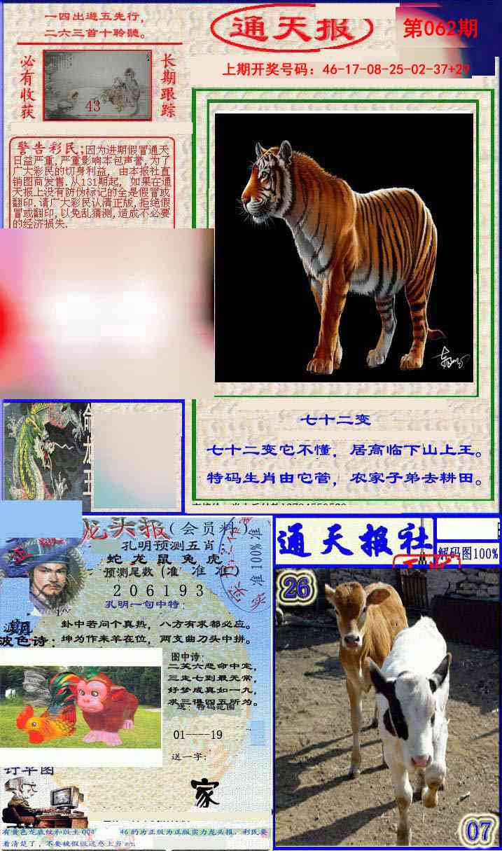 062期实力通天报[图]