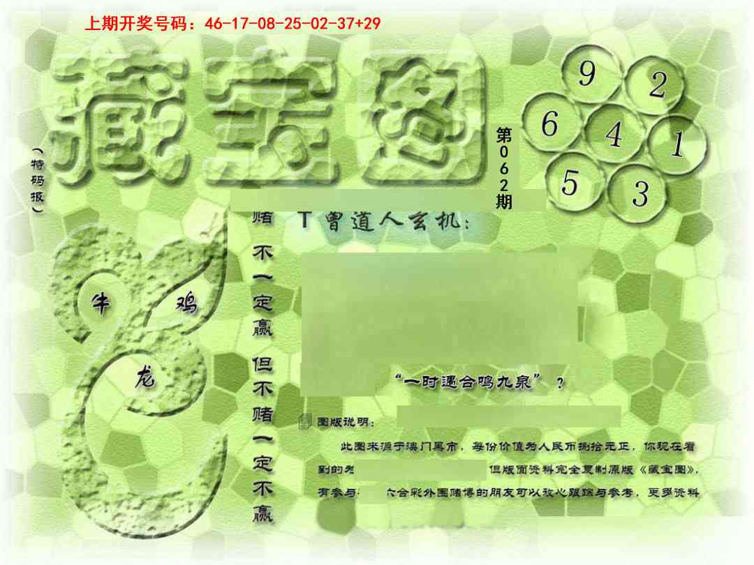 062期假新藏宝图[图]