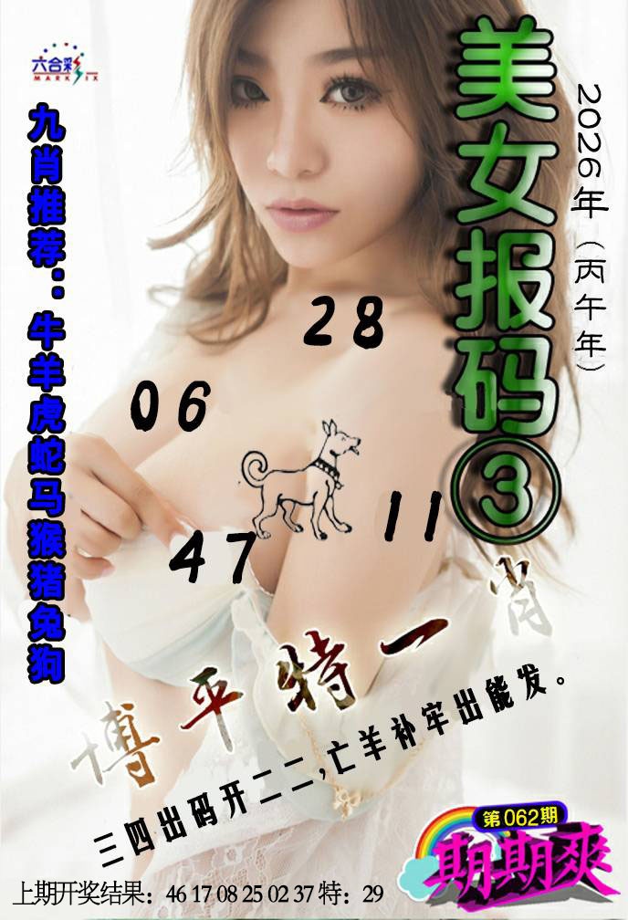 062期美女码报3[图]