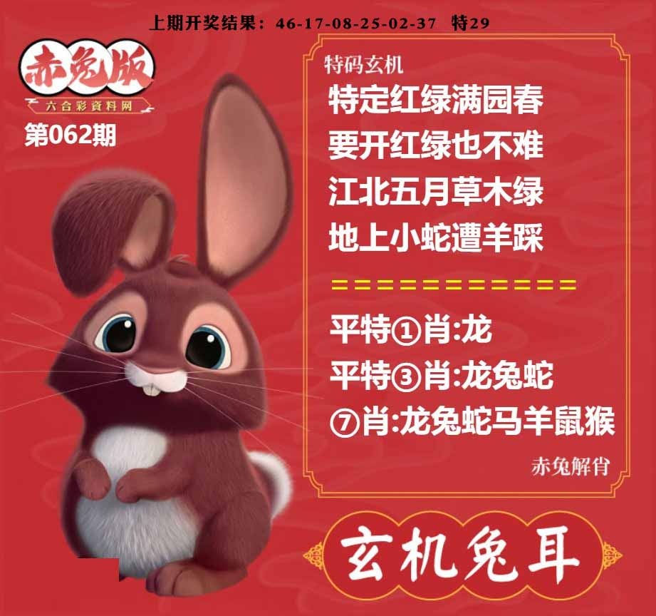 062期玄机兔耳[图]