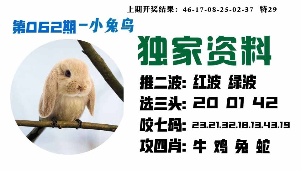 062期小兔鸟[图]